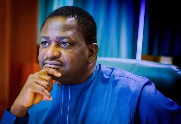 How Buhari Did Nnamdi Kanu A Favour — Adesina 1 Adesina
