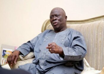 Afenifere Annuls Adebanjo’s Position, Calls for State Police Amid Security Concerns