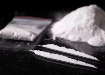 Bolivia Seizes $526m Cocaine Haul Hidden In Wood