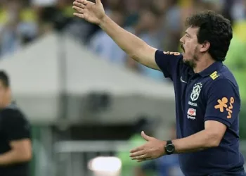 Brazil Sack Diniz After World Cup Flops, Eye New Coach