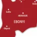 Ebonyi Council Adopts Community Policing