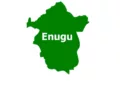 No Plan For Caretaker Committees In Enugu LGs – Commissioner