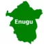 No Plan For Caretaker Committees In Enugu LGs – Commissioner