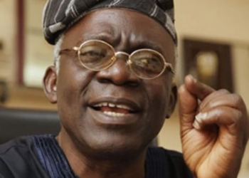 Falana Drags Federal Gov’t, States To Court Over Out-of-School Children Crisis