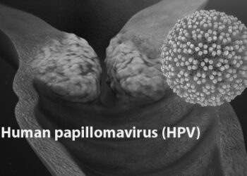 Cervical Cancer: FG Begins Second Phase Of HPV Vaccination In May