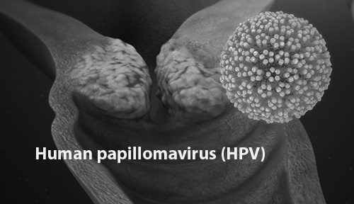 HPV