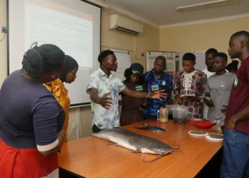 IITA Trains Over 1,900 Youths In Agribusiness, Targets 10,000 Beneficiaries