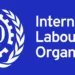 2 Million Workers Face Job Loss In 2024, ILO Warns 5 2 Million Workers Face Job Loss In 2024, ILO Warns