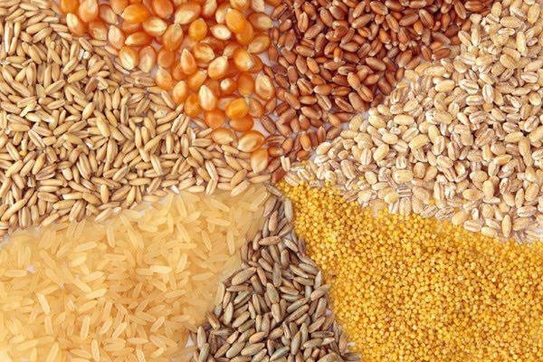 Nigeria Faces Decline In Maize, Wheat, Millet Production – Report 1 IMG 20240103 WA0009