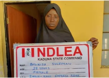 NDLEA Nabs Female Ammunition Supplier Enroute To Bandits’ Camp