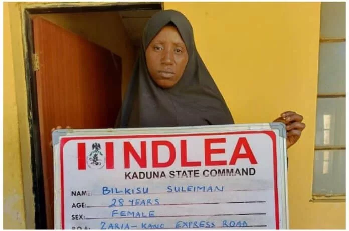 NDLEA Nabs Female Ammunition Supplier Enroute To Bandits' Camp 1 IMG 20240107 WA0036 jpg