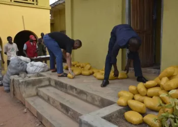 PICTORIAL: Army Hands Over 176kg Seized Indian Hemp To NDLEA In Ogun