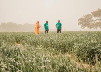 Heifer Africa, MIT Solve Support Young African Innovators In Agritech