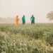 Heifer Africa, MIT Solve Support Young African Innovators In Agritech