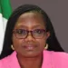 Solid Minerals Sector Will Boost Nigeria’s Economic Profile — Perm Sec 5 Solid Minerals Sector Will Boost Nigeria’s Economic Profile — Perm Sec