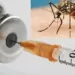 Benin Republic Recieves First Malaria Vaccines 5 Benin Republic Recieves First Malaria Vaccines