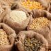 Maize, Paddy Rice, Cocoa Prices To Rise In 2024, Says AFEX 5 Maize, Paddy Rice, Cocoa Prices To Rise In 2024, Says AFEX