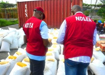 198 Arrested, 21 Illicit Drug Joints Dismantled In Kano