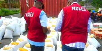 nscdc 198 Arrested, 21 Illicit Drug Joints Dismantled In Kano