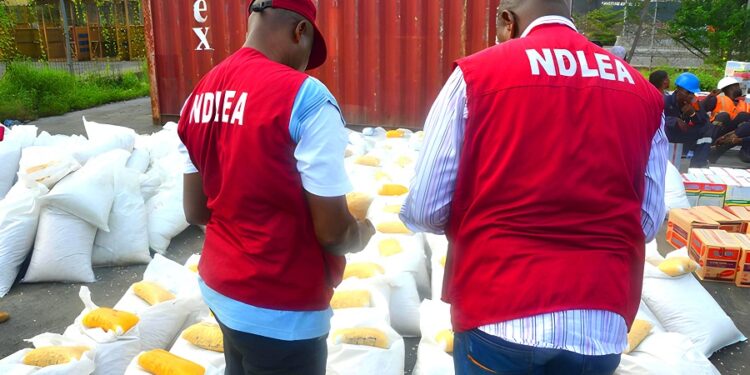 ndlea