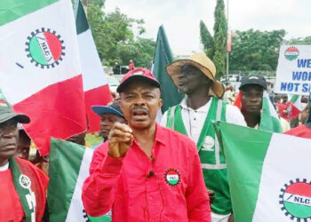 FG, Labour, Others Disagree On Economic Policies