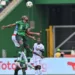 2023 AFCON: Our Draw With Nigeria Unsatisfactory, Says Equatorial Guinea’s Coach Micha 5 2023 AFCON: Our Draw With Nigeria Unsatisfactory, Says Equatorial Guinea’s Coach Micha