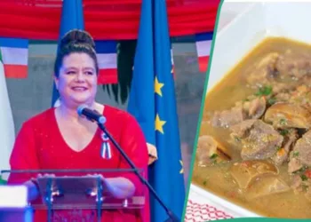 Outgoing French Ambassador Humorously Bids Farewell To Nigerian Pepper Soup