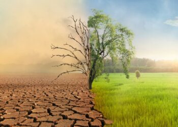 Stakeholders Seek Collaboration To Tackle Disaster, Climate Change