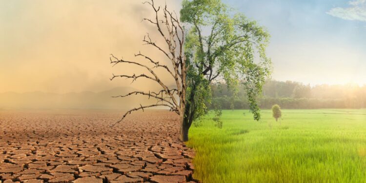 Climate