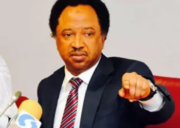 Govs Should Follow Suit On 60% Travel Delegation Slash — Shehu Sani