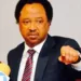 Govs Should Follow Suit On 60% Travel Delegation Slash — Shehu Sani