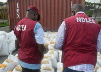 1,000 Arrested Over Drug Offences In Kano