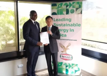 Chinese, Nigerian Firms Sign $1bn Pact To Eliminate Gas Flaring