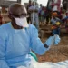 Lassa Fever Cases Surge In Nigeria, Fatality Rate Declines 6 Lassa Fever Cases Surge In Nigeria, Fatality Rate Declines