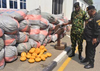 Navy Intercepts 2,500kg Of Cannabis In Lagos