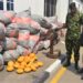 Navy Intercepts 2,500kg Of Cannabis In Lagos