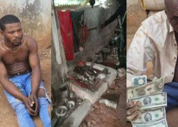 Troops Destroy IED Factory, Neutralise Kidnapper In Imo