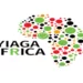 Bye-elections: Don’t Give Ticket To Highest Bidders, YIAGA Urges Parties