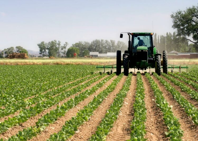 Farmers