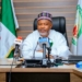 Tinubu Appoints Arabi Substantive NAHCON Chair, Management Team