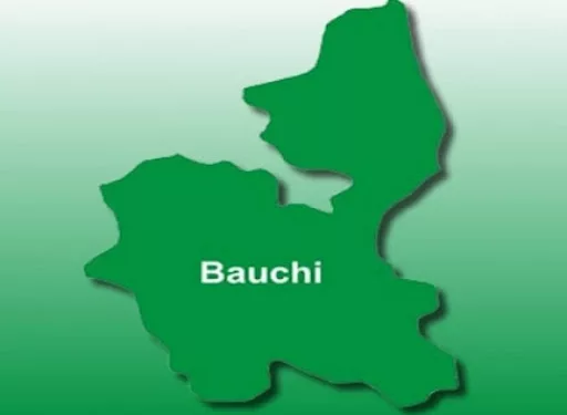 bauchi