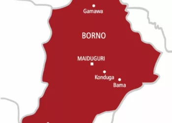 Low key Campaigns Herald Borno Council Elections
