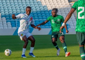 International Friendly: Super Eagles Slump To 2-0 Against Guinea
