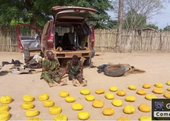 Troops Reject N12m Bribe, Arrest 2 Transnational Smugglers Of Illicit Substance In Ogun
