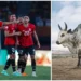 Egypt Knocked Out Of AFCON Despite Killing Cow For Sacrifice 5 Egypt Knocked Out Of AFCON Despite Killing Cow For Sacrifice