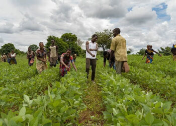 NIRSAL Trains Agric Extension Workers In Jigawa
