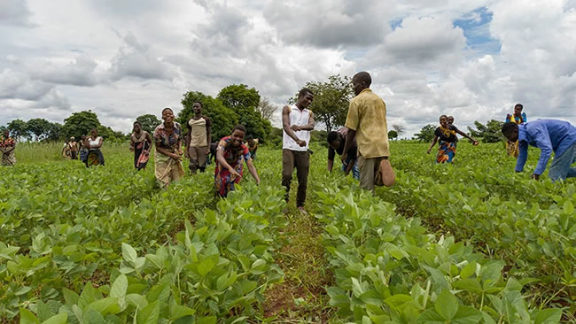 NIRSAL Trains Agric Extension Workers In Jigawa 1 farmers 2