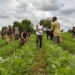 NIRSAL Trains Agric Extension Workers In Jigawa