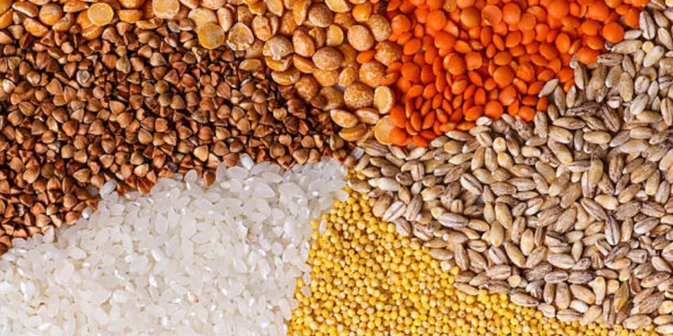 Twisted cereals: pea lentil wheat millet rice buckwheat closeup macro