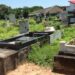 NDLEA Raids Graveyards, Drug Joints, Arrest 198 In Kano